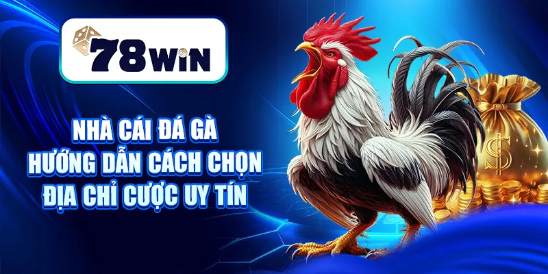 Nhà Cái Đá Gà – Hướng Dẫn Cách Chọn Địa Chỉ Cược Uy Tín