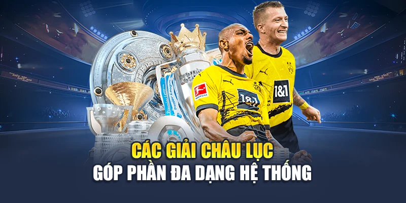 Các giải châu lục góp phần đa dạng hệ thống