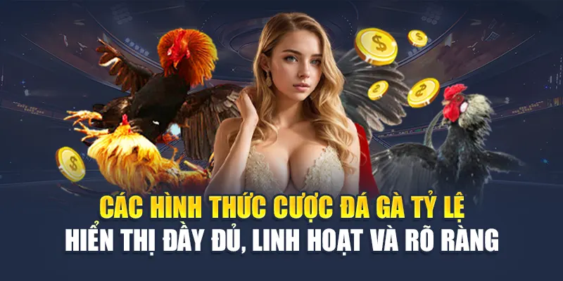 Các hình thức cược đá gà tỷ lệ hiển thị đầy đủ, linh hoạt và rõ ràng
