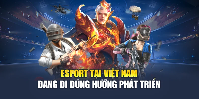 Esport tại Việt Nam đang đi đúng hướng phát triển