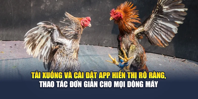 Trải Nghiệm Chơi Đá Gà Trên App Đỉnh Cao Cùng Nhà Cái 78WIN 6 Tải xuống và cài đặt app hiển thị rõ ràng, thao tác đơn giản cho mọi dòng máy
