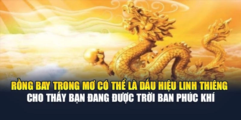 Rồng bay trong mơ có thể là dấu hiệu linh thiêng cho thấy bạn đang được trời ban phúc khí